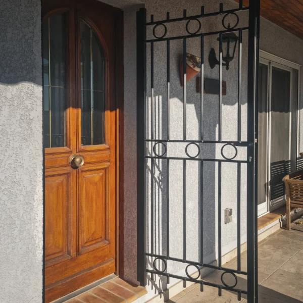 Grille fer forgé de protection pour porte d'entrée